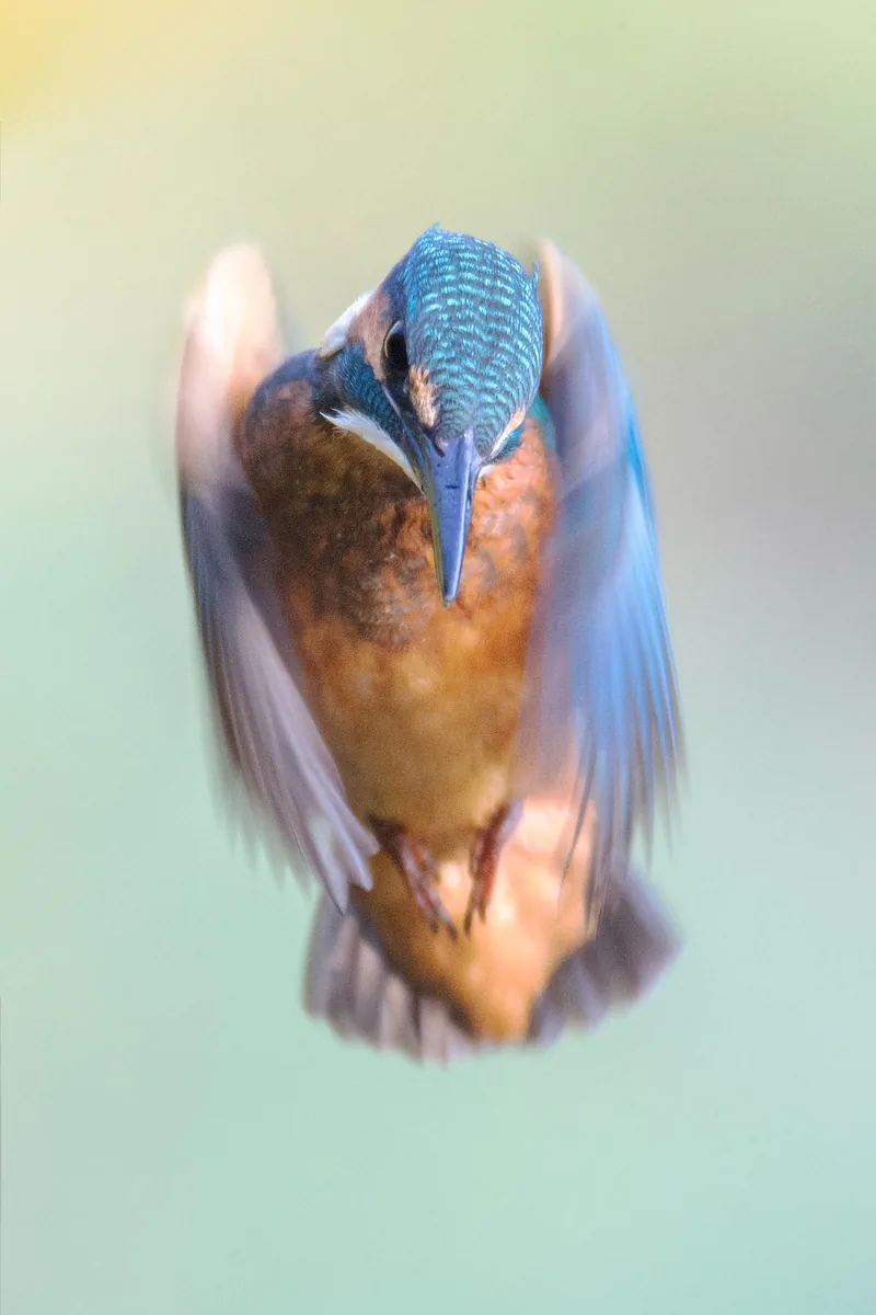 Photography example